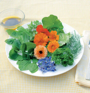 Herbal Salad for Osteoporosis